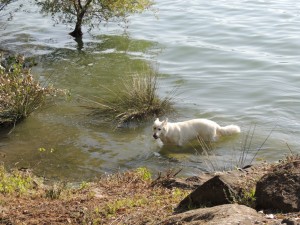 Aïka ritrova con piacere un accesso facile al lago.