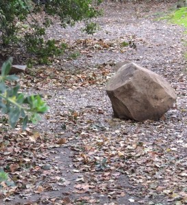 Et même un bloc de pierre qui a dévalé du versant abrupt...